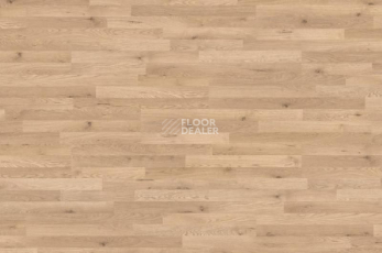 Ламинат Haro Tritty 90 ДУБ ВЫСОКОГОРНЫЙ 538855 фото 1 | FLOORDEALER